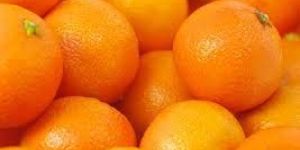 Fresh Orange