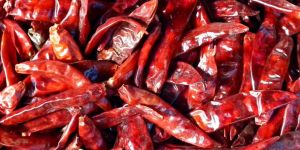 Dry Red Chilli Pepper