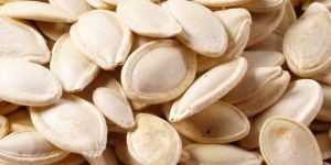 Pumpkin Seeds