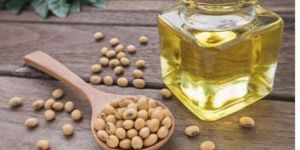Refined Soybean Oil