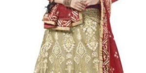 Designer Lehenga Choli