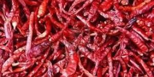 Dried Red Chilli