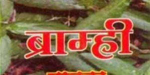 Brahmi Powder