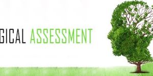 Psychological Assessment Services