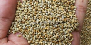 Green Millets