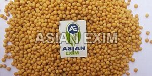 Yellow Mustard Seeds