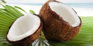 Fresh Coconut