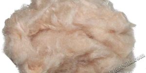 Silk Fiber