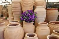 Terracotta Pottery