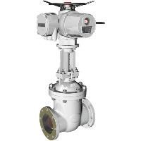 Electric Valve Actuator