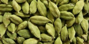 Cardamom