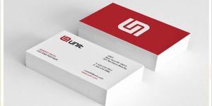 Printed Business Cards