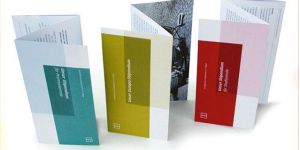 Printed Flyers