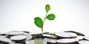 Senior Level Recruitment Service