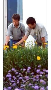 Horticulture Services