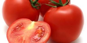 Fresh Tomato