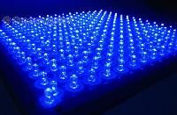Blue LED