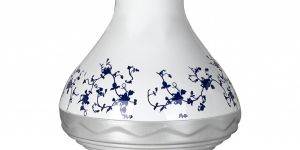 Chlorine Free Spa Shower