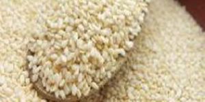 White Sesame Seeds