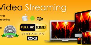 LIVE TV STREAMING INDIA - MSLIVE MEDIA & BROADCASTING