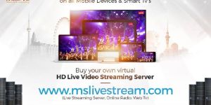 Server Hosting Services