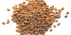 Fenugreek Powder