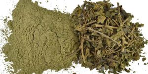 Gymnema Sylvestre Extract Powder