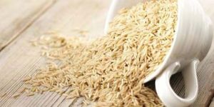 Sugandha Golden Rice