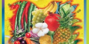 Organic Bactericide