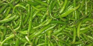 Green Chilli