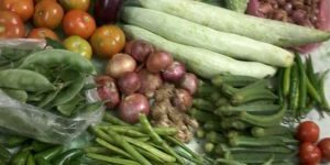 Indian Fresh Vegetables