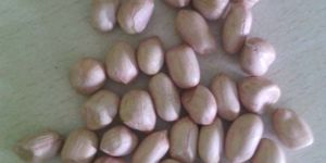 Peanut