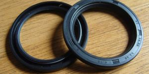 Oil Seals
