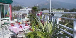 Environmental Graphics