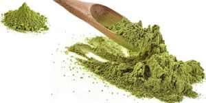 Moringa Oleifera Powder