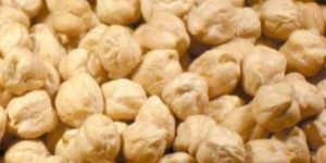 White Chickpeas