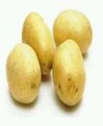 Fresh Potato