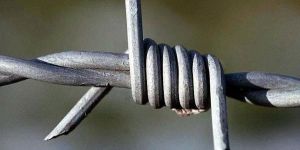 Barbed Wire