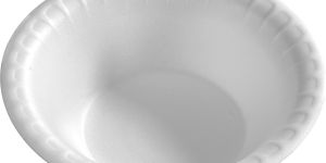 120z Disposable Bowl