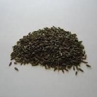 Lettuce Seeds