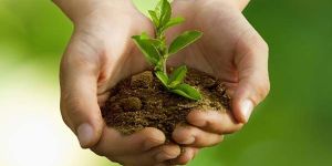 Research and Development Services