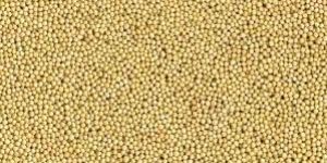 White Mustard Seeds
