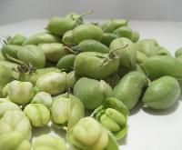 Green Chickpeas