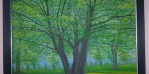 Nature Oil Paintings