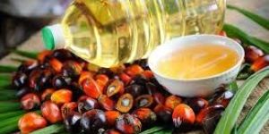 Palm Oil