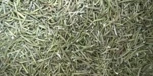 Dried Rosemary