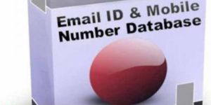 Database Management Services