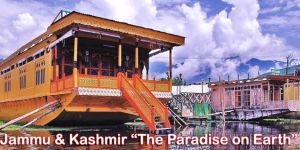 Honeymoon Trip Services