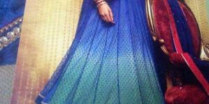 Embroidered Blue Gown