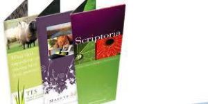 Brochure Printing